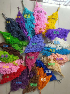 Arrangements de fleurs préservées de <span class=keywords><strong>fougère</strong></span> Ming naturelle Plusieurs couleurs Fleurs séchées Remplisseurs Asperges Myriocladus Plantes décoratives - Product Image 6