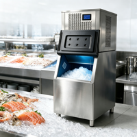 Commerciële korrelige ijsmachine 900kg/dag CE Grote capaciteit RVS Automatische timer Besparing op energie voor buffet catering restaurant