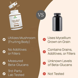 Integratori Erboristici OEM/ODM in Capsule di Criniera di Leone per Supporto Immunitario, Aumento della Vitalità e Benessere Generale per Adulti - Product Image 5