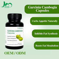 Nouveau produit 2025 Brûleur de graisse rapide Capsules amincissantes naturelles Capsules amincissantes Garcinia Cambogia Perte de poids Pilule amaigrissante