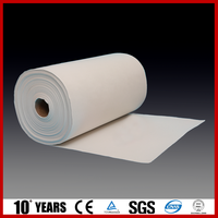 Papel de Fibra Cerámica Refractaria de Alta Pureza y Baja Conductividad Térmica, Resistente al Calor, para Horno Industrial, Clasificación 1260
