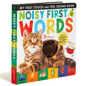 Noisy First Words My First Touch and Feel Sound Book pour les enfants qui jouent - Product Image 1