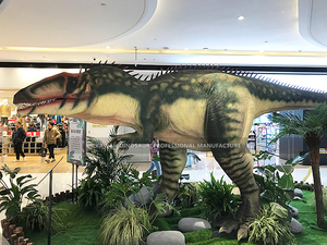 Modèle de <span class=keywords><strong>dinosaure</strong></span> animatronique <span class=keywords><strong>Giganotosaurus</strong></span> grandeur nature, personnalisé pour les spectacles - Product Image 3