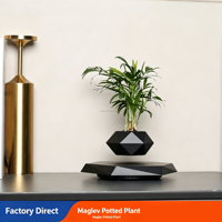 Levitación Magnética para Plantas Artificiales, Flores, Decoración del Hogar, Dormitorio, Jardín, Bonsái Flotante, Maceta Levitante