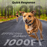 CE RoHS Zertifiziertes 300 Meter Reichweite Wiederaufladbares Schock-Fernbedienungs-Elektrisches Hundetrainingshalsband