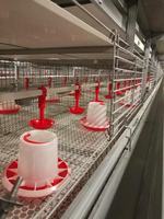 Nouvelle cage à poulets de chair Ankong de type H à 3-4 niveaux en treillis métallique galvanisé à chaud avec un design facile à utiliser
