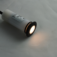 Lampes LED encastrées au sol 26 mm AC100-240V IP67 étanches 0,6W 120° d'angle de faisceau pour éclairage paysager extérieur