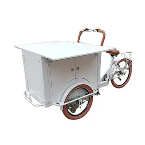 OEM 홈 전기 세발 자전거 Bakfiets 캐리지 성인 3 바퀴 카고 자전거 판매 과일 야채 꽃