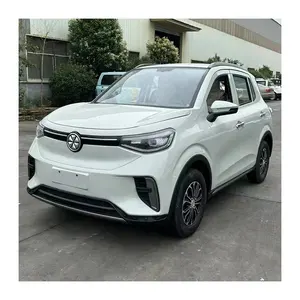 Tự động elettrica mỗi adulti Nuova economica off road phương tiện đi lại/nhỏ vehiculo nuevos 2024 sinh thái xe tăng mini xe điện cho người lớn