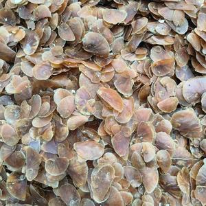 น้ำหอมกลิ่นชะมดรูปกวางธูปโบราณแบรนด์ดังของจีน - Product Image 5