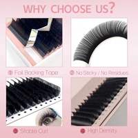 Extensions de cils individuelles en gros – Cils classiques et volume C, CC, D, DD – Extensions de cils courbés