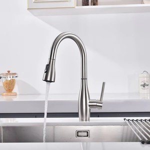 Robinet de cuisine moderne en acier inoxydable 304, extractible, de luxe, haut de gamme, en acier inoxydable brossé, luxueux - Product Image 3