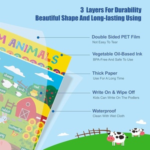 16 Pacotes de Pôsteres Educativos Laminados de 16,7 " x 11 " para Crianças de 1 a 3 Anos, Pôster Educacional para Sala de Aula com Pontos de Cola - Product Image 3