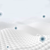 Usine directe Tailleur ergonomie optimale pour les traitements des cils mousse ondulée haute densité matelas de beauté en gros