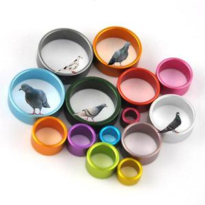 Mooie Duivenring Ontwerp Vogel Voetbanden Vrij Maten Kleuren - Product Image 3