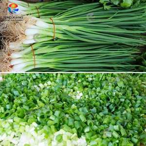 Machine à découper les légumes FC-306D commerciale pour ciboulette feuilles d'ail germes longs haricots oignon vert laitue légume - Product Image 2