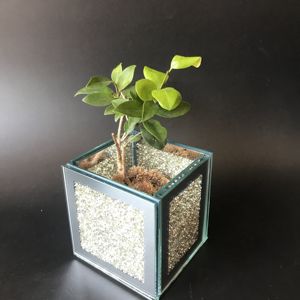 Hot Sale Silver Square Crystal Flower <strong>Pot</strong> Home Decoration Breeding Bling Crystal Flower <strong>Pots</strong> - Product Image 6