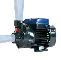 Pompe à eau QB60 2m³/h, hauteur de refoulement 28m, pour l'irrigation agricole, l'arrosage des jardins, l'approvisionnement en eau domestique, les restaurants et les hôtels