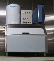 Offre Spéciale Flocons Commerciale Machine De Fabrication de Glace 0.5T PAR Jour de Neige Machine À Glace En Paillettes Pour Traitement De Poisson De consommation