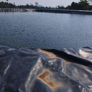 45 मिसिल 60 मिसिल जेओम्बाड़ा जलप्रप्रफुंग बांध तालाब लाइनर के लिए अभेद्य भू-झिल्ली के लिए अभेद्य भू-झिल्ली - Product Image 6