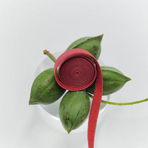 Customized Colorful Jacquard Nylon Webbing Strap Stretch <b>Elastic</b> Woven Belt Accessory for DIY Knitted Home Textile Shoes - Product Image 1