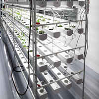 Plante commerciale à effet de serre Légumes à feuilles Jardin hydroponique d'intérieur Système de culture de fraises Tuyau hydroponique à canal nft