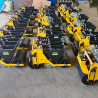 Nouveau semoir de précision d'ail/machines de plantation d'ail poussées à la main/machine de plantation manuelle avec 1-3 rangées disponibles
