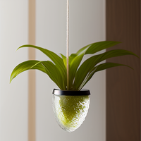 CR038 nouvelle mode ouvert goutte Globe conteneur haute qualité cristal plantes Pot pour la décoration de la maison et du bureau