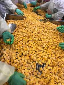 <span class=keywords><strong>Courge</strong></span> musquée biologique surgelée Légumes frais de haute qualité Meilleure qualité <span class=keywords><strong>Courge</strong></span> gagnante - Product Image 4