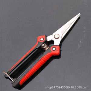 Sécateur en acier inoxydable avec lame de 70 mm, manche rouge, cueilleur de fruits pour le jardinage avec mécanisme de retour à ressort - Product Image 5