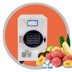 Mini Kleine Groente Groente Fruit Thuis Zelfgemaakte Huishoudelijke Lab Vacuüm Lyofilisatie Vriesdroogdroger Machine Apparatuur