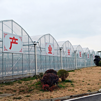 Grande serre agricole hydroponique multi-chapelles en acier galvanisé à chaud, projet clé en main pour la culture de films minces