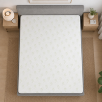 Housse de matelas ajustable en jacquard de bambou OEM 250 GSM avec membrane imperméable, bande élastique aux 4 coins et fermeture éclair personnalisée à 360 degrés