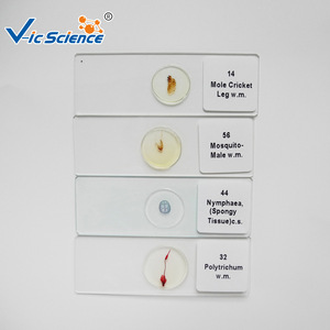 Sperm smears, cell biology and genetics, biological <b>microscope</b> slides, laboratory research equipment - Product Image 3