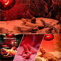 Ampoule chauffante pour reptiles, lumière infrarouge jour et nuit pour lézards, serpents, geckos, tortues et amphibiens