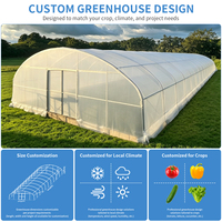 Serre tunnel agricole économique pour la culture de fruits, système hydroponique avec table de culture, serre en film plastique pour pastèques