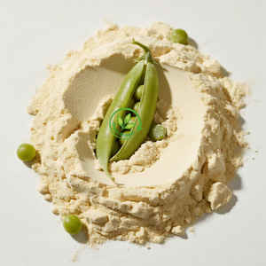 天然有機エンドウ豆タンパク質非GMOエンドウ豆タンパク質粉末80% エンドウ豆タンパク質 - Product Image 1