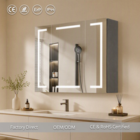 Armoire miroir LED murale Joystar CCT IP44, durable, résistante à l'humidité, style compact, pour les magasins d'ameublement et la vente en gros