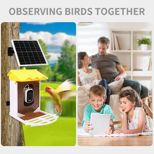 Wellfine AI Reconnaissance intelligente Mangeoires pour oiseaux sauvages Contrôle d'application extérieur Mangeoire pour oiseaux intelligente avec caméra - Product Image 3