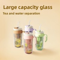Bouteille en verre à double paroi personnalisée de 550ml-Qualité alimentaire avec couvercle en paille | Tasse à thé/café avec infuseur de fruits, incassable, gravure en vrac