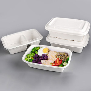 Vaisselle jetable personnalisée en canne à sucre, boîte à salade carrée biodégradable, boîtes à lunch en pulpe de papier, contenants à emporter pour pique-nique, bento - Product Image 1