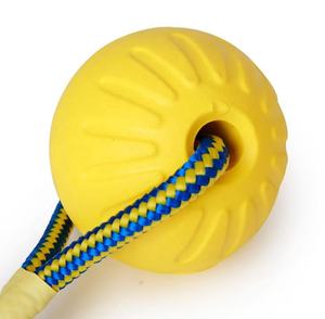 Yeni stil köpek evcil hayvan ürünleri Eva köpük Pet çiğnemek topu oyuncak Pet oyuncaklar köpek eğitim oyuncak köpek. - Product Image 4