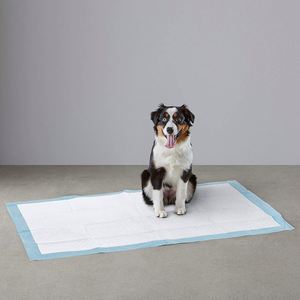 Colliers d'entraînement absorbants en coton écologique à prix compétitif pour chiens et chiots 60x45cm - Product Image 4