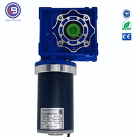 Motor DC 12V 260W 3200 RPM dengan Magnet Permanen dan Reduksi Worm - Torsi Tinggi 50Nm untuk Penggunaan Sepeda Listrik & Kipas Buatan China
