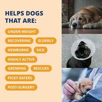 Gel énergétique à haute teneur en calories avec électrolytes pour chiens et chats, en gros OEM/ODM, pour le soutien énergétique et la prise de poids, gel nutritionnel
