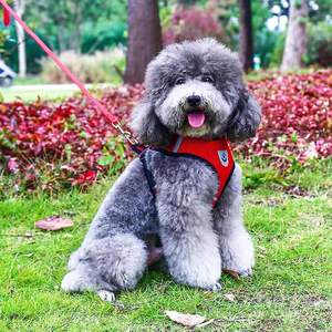 Arnés ligero para perros con chaleco reflectante transpirable para mascotas sin tirones para perros pequeños (5-8Lb), ajustable y de escape - Product Image 4