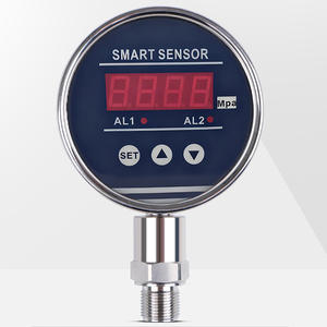 Sesuaikan pemancar tekanan hidrolik, tampilan LED Digital pemasangan bawaan 24V standar 0-200MPa - Product Image 2