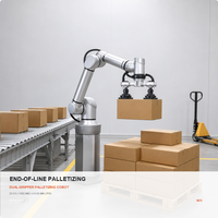 Robot de palettisation automatique MZD 300 palettes par heure, empileur personnalisé avec système de convoyeur d'alimentation