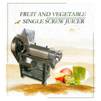 Machine Om Vruchtensap Ananassap Te Maken Machine Juicer Machine Voor Sap