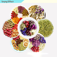 Instelbare Temperatuur Food Fruit Dehydrator Pinda Droger Machine Groente Industriële Commerciële Droogmachine